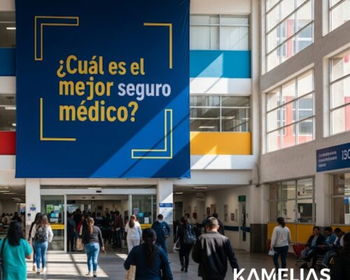 ¿Cuál es el Mejor Seguro Médico?